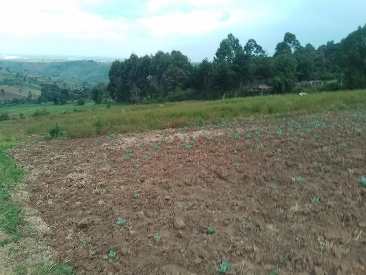 10 acres for sale Narok,kisiriri-14m