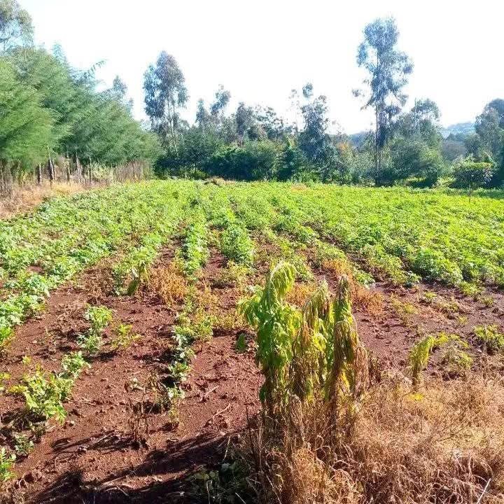 1/2 acre plot for sale in nyandarua maili kumi-900k