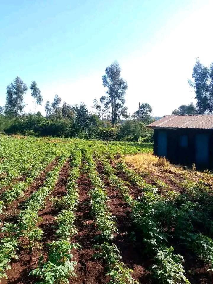 1/2 acre plot for sale in nyandarua maili kumi-900k