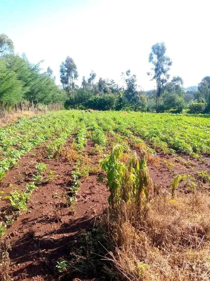 1/2 acre plot for sale in nyandarua maili kumi-900k
