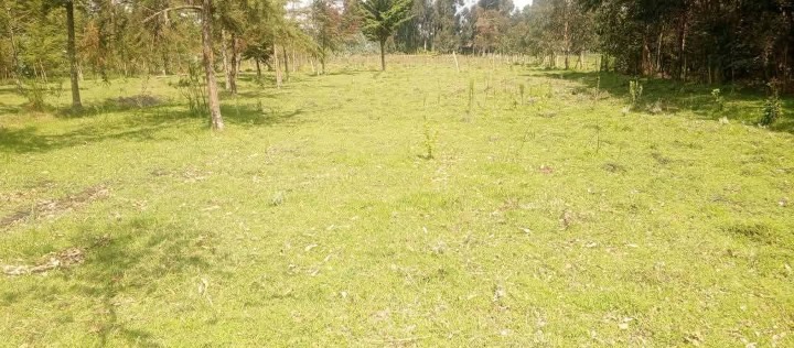 4 acres land for sale in Nyandarua mirangine -4.8m