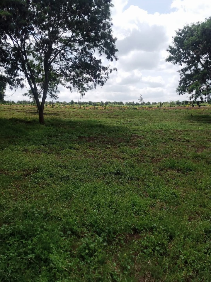 1/4 acre plot for sale in Kenyatta road -8.5m
