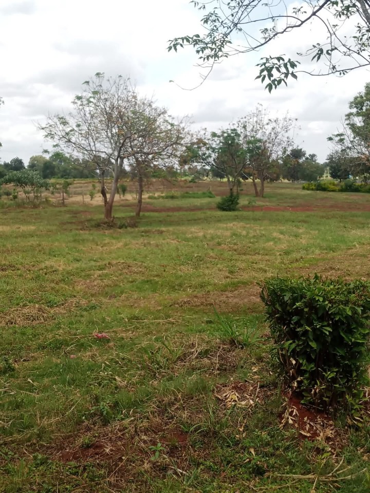 1/4 acre plot for sale in Kenyatta road -8.5m