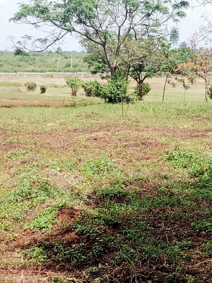 1/4 acre plot for sale in Kenyatta road -8.5m