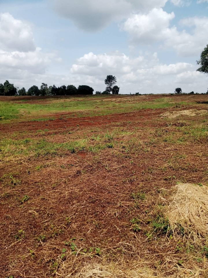 1/4 acre plot for sale in Kenyatta road -8.5m