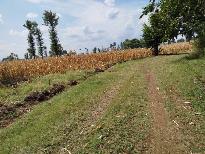 🌿 Prime 14 Acres for Sale – Kagio, Kirinyaga County 🌿