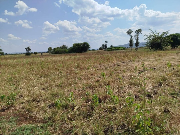🌿 Prime 14 Acres for Sale – Kagio, Kirinyaga County 🌿