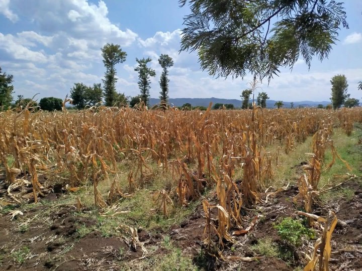 Land_plot for sale at Kagio 