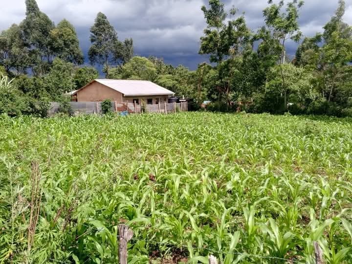 🏡 Prime 0.088HA Plot for Sale – Luanda Shop, Kakamega County | Ksh 2M Only!