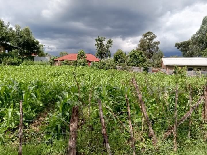 🏡 Prime 0.088HA Plot for Sale – Luanda Shop, Kakamega County | Ksh 2M Only!