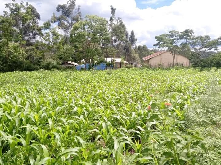 Land_plot for sale at Luanda