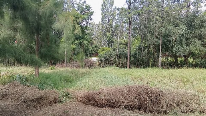 🏢 Commercial Plot for Sale – Prime Location in Ruiru, Kiambu County