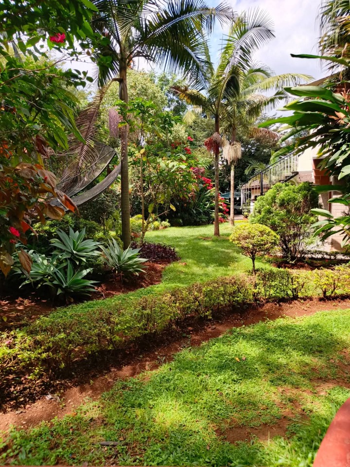 Cottage for Rent – Roslyn, Lone Tree | USD 1,000/month (All Inclusive)