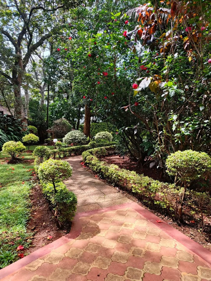 Apartment for rent at Roslyn 