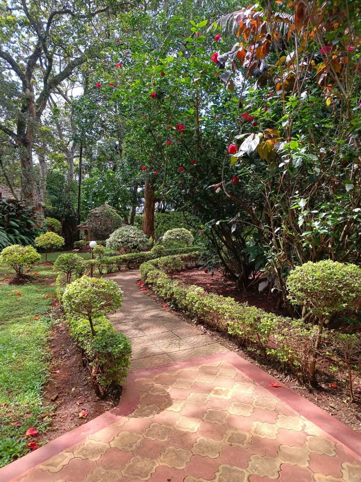 Cottage for Rent – Roslyn, Lone Tree | USD 1,000/month (All Inclusive)