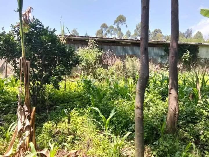 Land_plot for sale at Ontilili primary school 