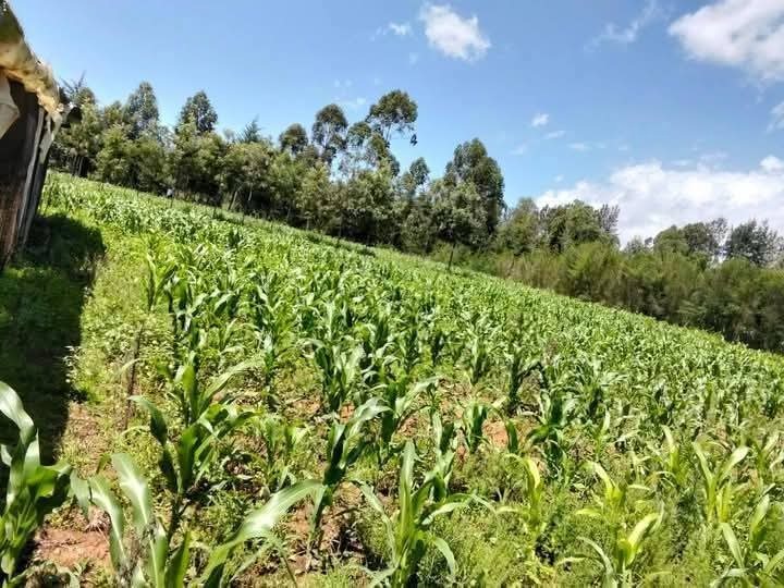 🌾 One Acre Land for Sale – Ontulili Area, Meru County | Ksh 2.2M (Negotiable)