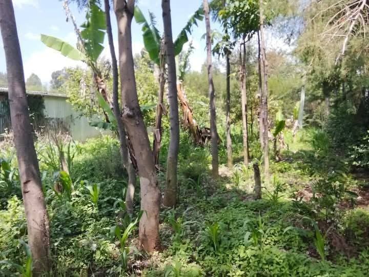🌾 One Acre Land for Sale – Ontulili Area, Meru County | Ksh 2.2M (Negotiable)