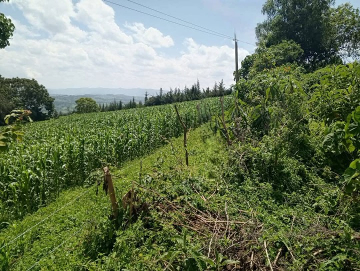 🌿 Prime 3 Acres for Sale – Kaptenet, Chepseon, Kipkelion East, Kericho County | Ksh 5.1M (Whole Parcel) or Ksh 1.7M/Acre