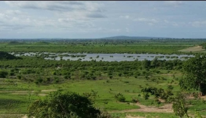 🌴 Prime 70 Acres Freehold Land for Sale – Malindi, Kilifi County