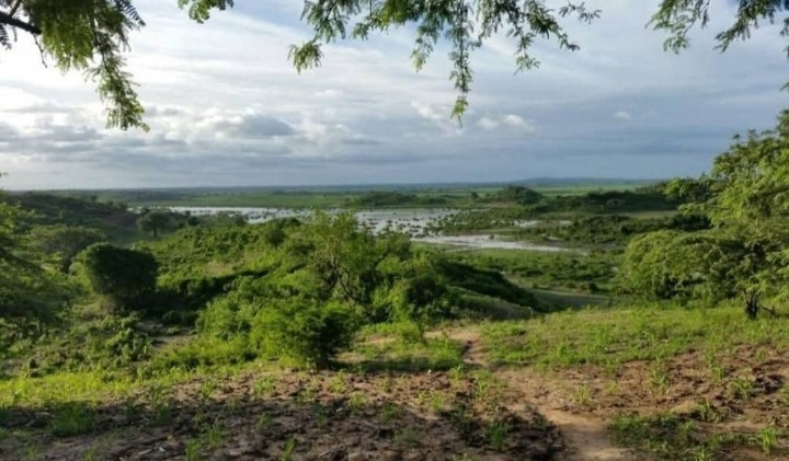 Land_plot for sale at Sala 