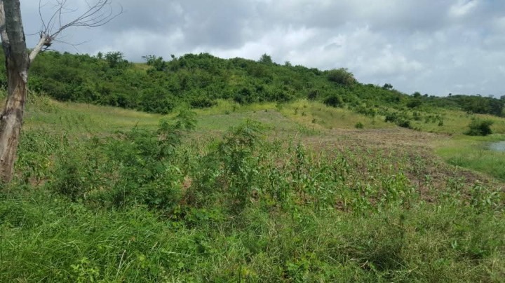 🌴 Prime 70 Acres Freehold Land for Sale – Malindi, Kilifi County