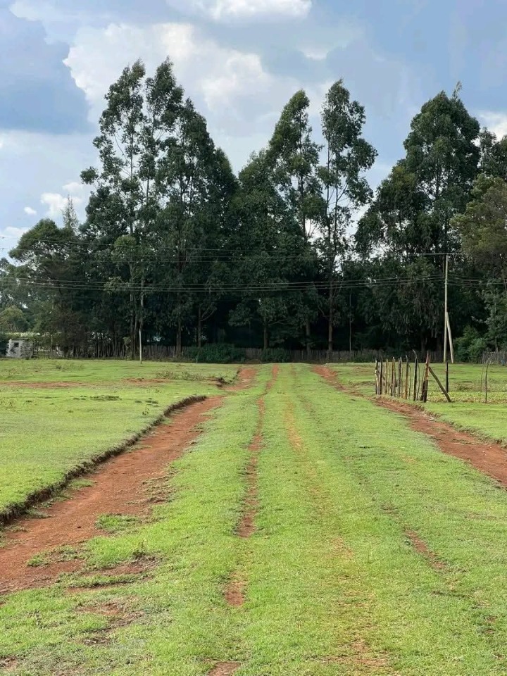 🏡 For Sale: ¼ Acre Plot – Cheplaskei, Eldoret | Ksh 1.85 Million