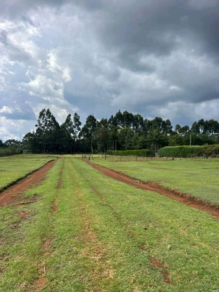 🏡 For Sale: ¼ Acre Plot – Cheplaskei, Eldoret | Ksh 1.85 Million