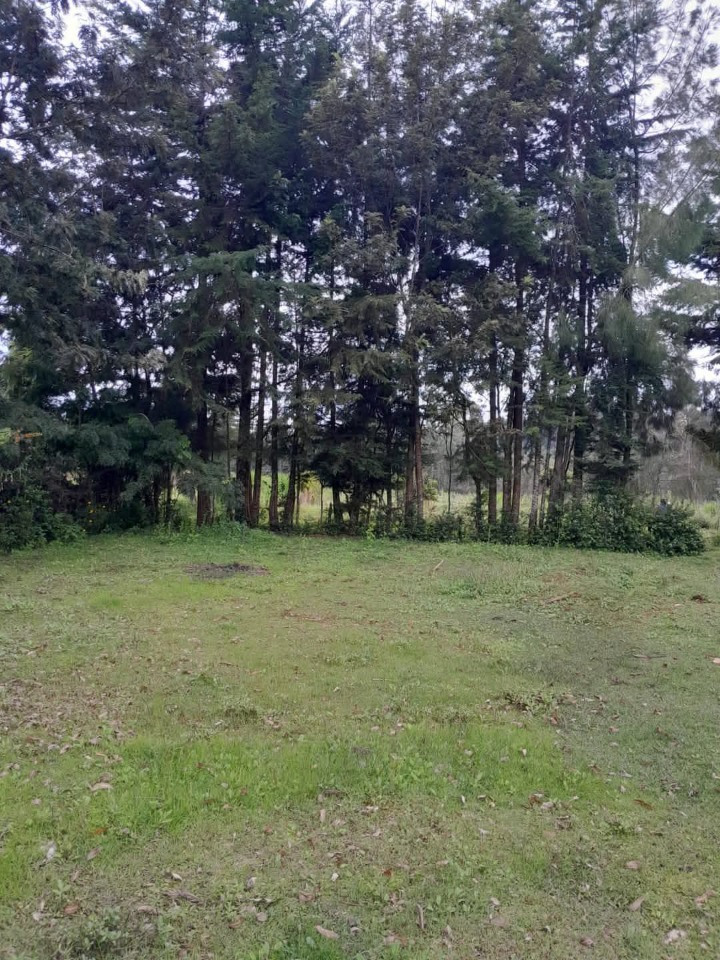 🌳 Prime 2 Acres for Sale in Lari, Kiambu County – Ksh 12M 🏡
