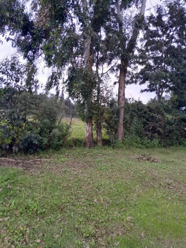 🌳 Prime 2 Acres for Sale in Lari, Kiambu County – Ksh 12M 🏡