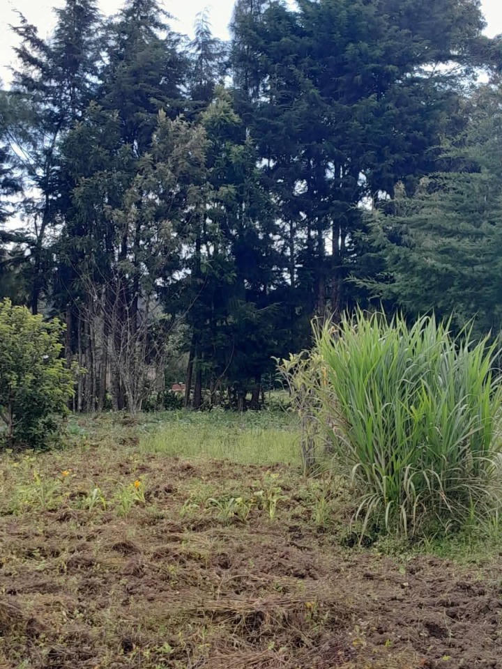 🌳 Prime 2 Acres for Sale in Lari, Kiambu County – Ksh 12M 🏡