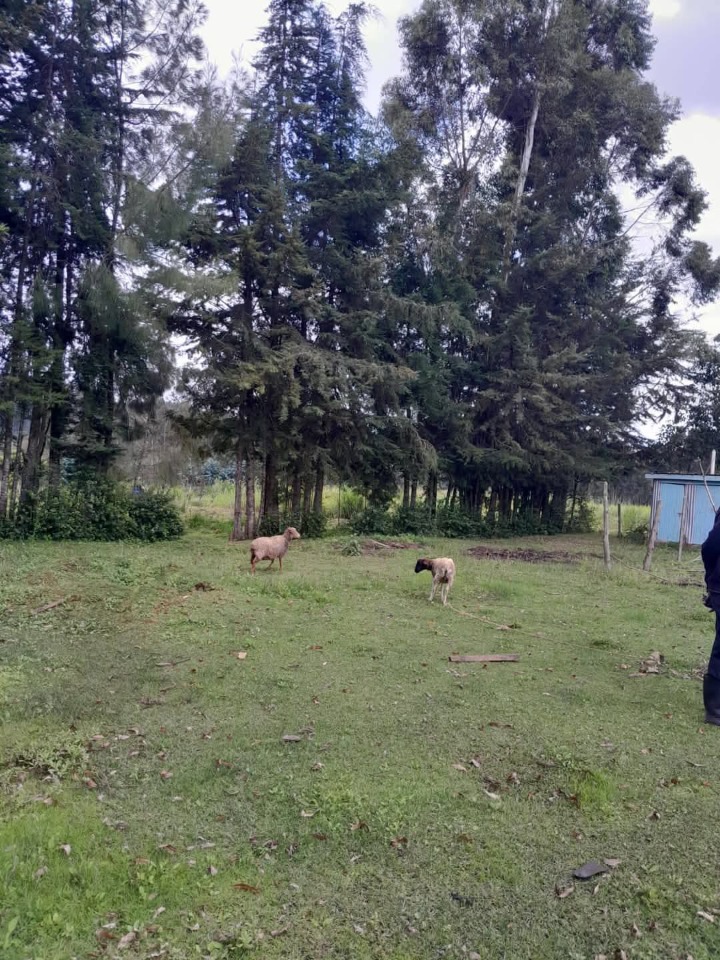 🌳 Prime 2 Acres for Sale in Lari, Kiambu County – Ksh 12M 🏡