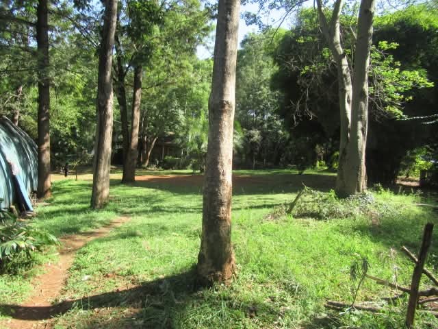 🏗️ Prime 1-Acre Commercial Plot for Sale in Karen – Ksh 100M 💼