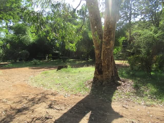 🏗️ Prime 1-Acre Commercial Plot for Sale in Karen – Ksh 100M 💼