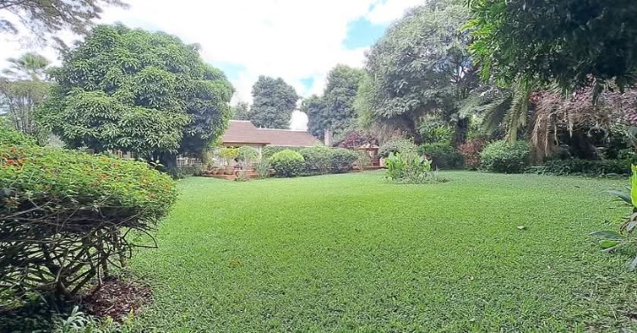 🌿 Rosslyn Lone Tree | Fully Furnished 2-Bedroom Colonial Home To Let | USD 3,500 Monthly 🏡