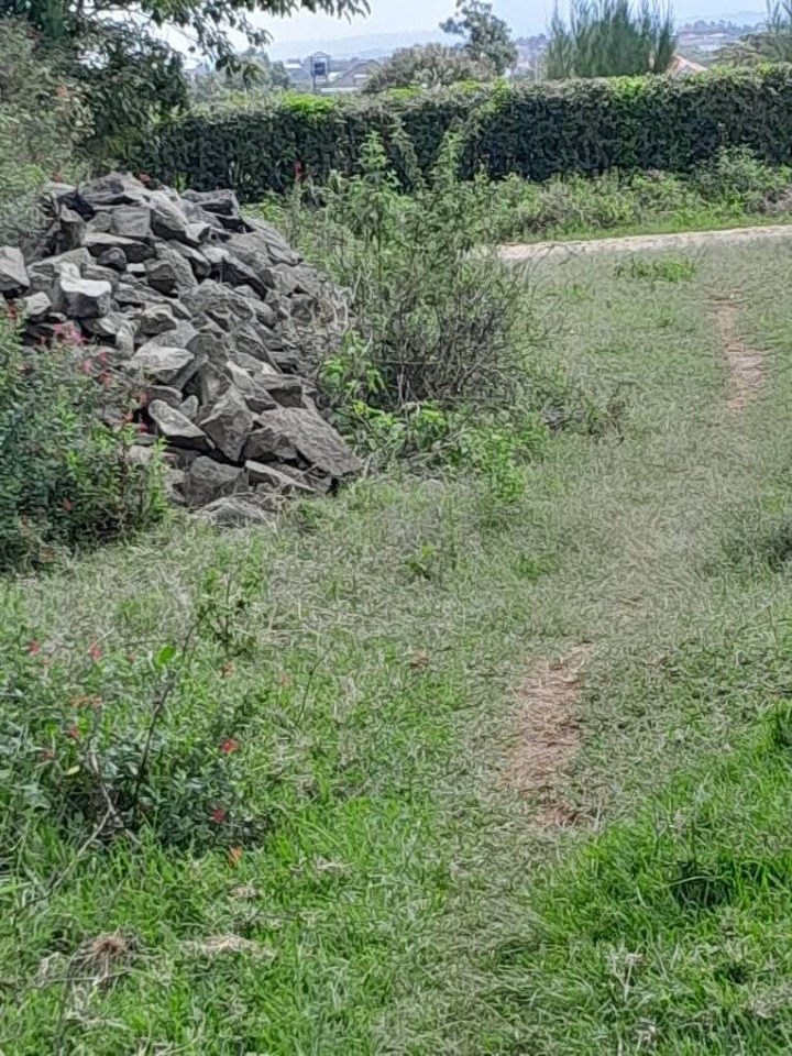 🌟 Prime 50x100 Plots for Sale – Kayole, Naivasha | Ksh 3M Each (Slightly Negotiable) 🏡