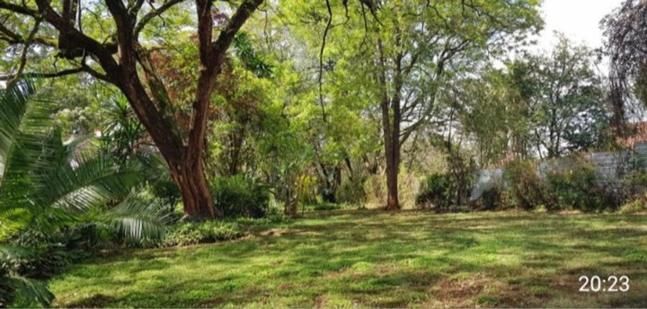  Lovely 3-Bedroom Colonial Cottage on 1 Acre To Let – Near UN/Gigiri | Ksh 200,000 Monthly 🏡