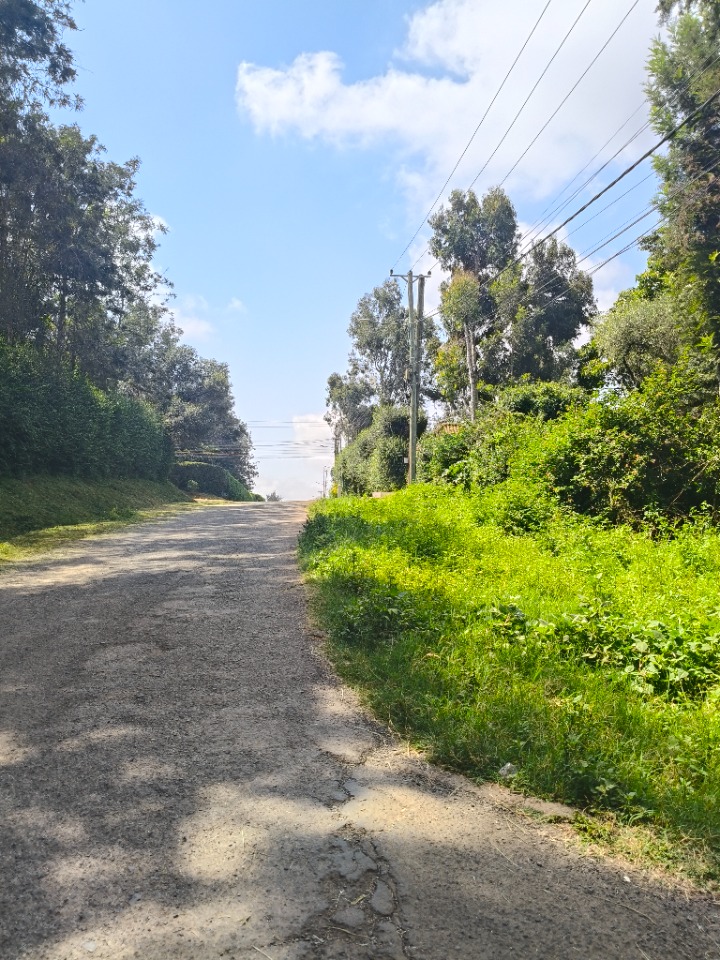 🌳 PRIME 1.3-ACRE LAND FOR SALE – KAREN HARDY | RED SOIL | RECTANGULAR SHAPE