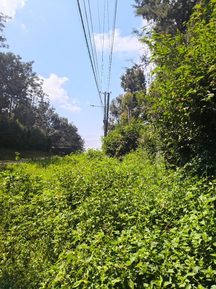 🌳 PRIME 1.3-ACRE LAND FOR SALE – KAREN HARDY | RED SOIL | RECTANGULAR SHAPE