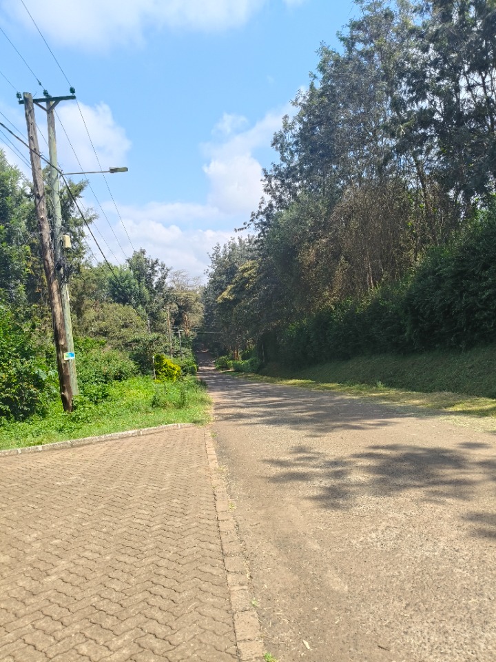 Land_plot for sale at Hardy 