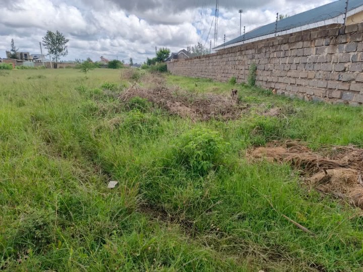 Special_categories for sale at Kwa  jomo