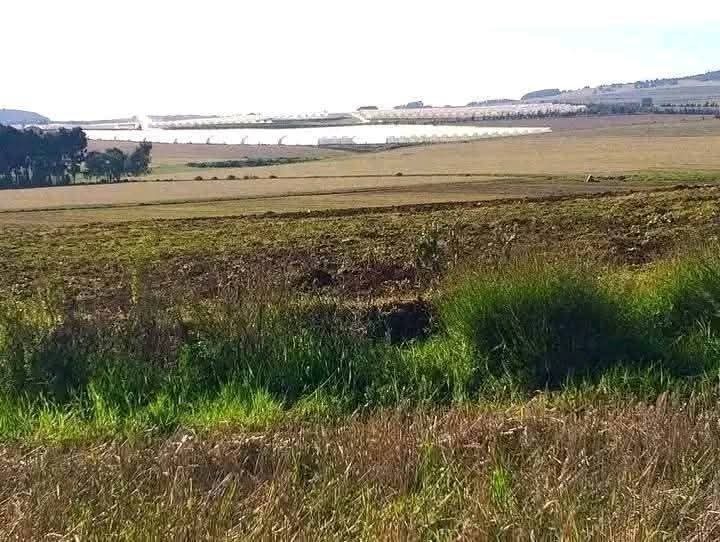 🌿 41 ACRES PRIME AGRICULTURAL LAND FOR SALE – TIMAU-KISIMA (EX-LEWA), MERU COUNTY 🌿