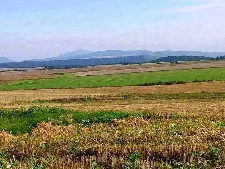 Land_plot for sale at Timau-kisima