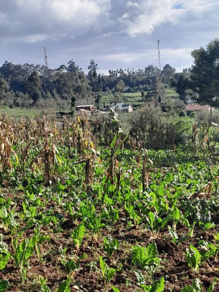 🏡 PRIME 1-ACRE LAND FOR SALE – LARI, KIAMBU COUNTY | KSH 12M (NEGOTIABLE)