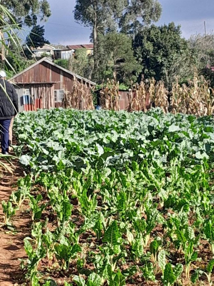 🏡 PRIME 1-ACRE LAND FOR SALE – LARI, KIAMBU COUNTY | KSH 12M (NEGOTIABLE)
