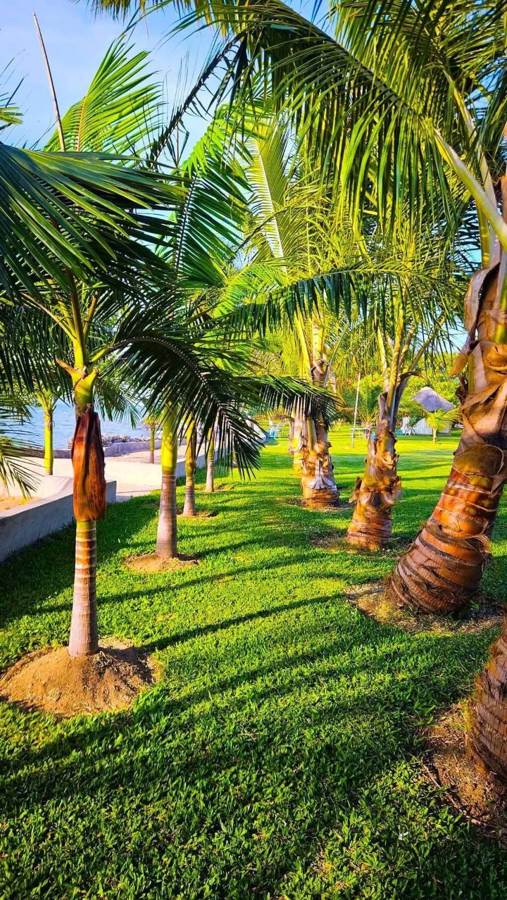 🏨 FOR SALE – VICTORIA SANDS LODGE (MBITA BRANCH ONLY) | HOMABAY COUNTY | FIXED PRICE: KSH 200M