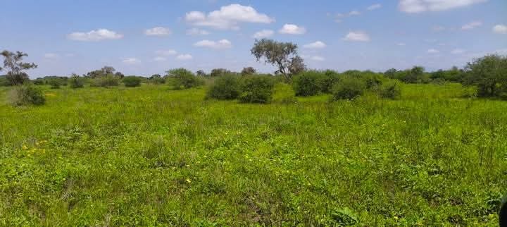 10 Acres for Sale in Kimana, Kajiado – Scenic Land 500m from Tarmac with Kilimanjaro Views @ Ksh 450K/Acre