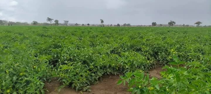 10 Acres for Sale in Kimana, Kajiado – Scenic Land 500m from Tarmac with Kilimanjaro Views @ Ksh 450K/Acre
