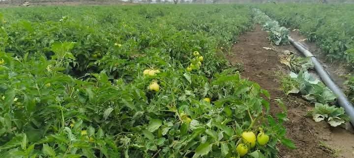 10 Acres for Sale in Kimana, Kajiado – Scenic Land 500m from Tarmac with Kilimanjaro Views @ Ksh 450K/Acre