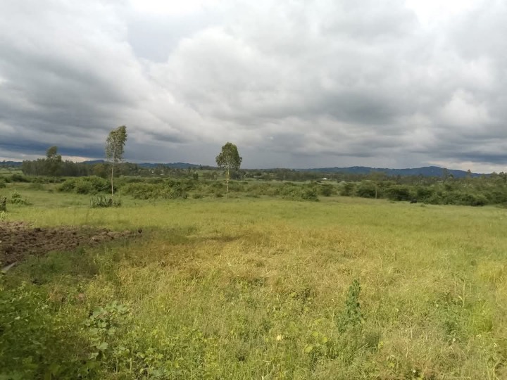 4 Acres Agricultural Land for Lease in Uriri Sub-County – Ideal for Sugarcane Farming | Ksh 27,000 per Acre (5-Year Term)